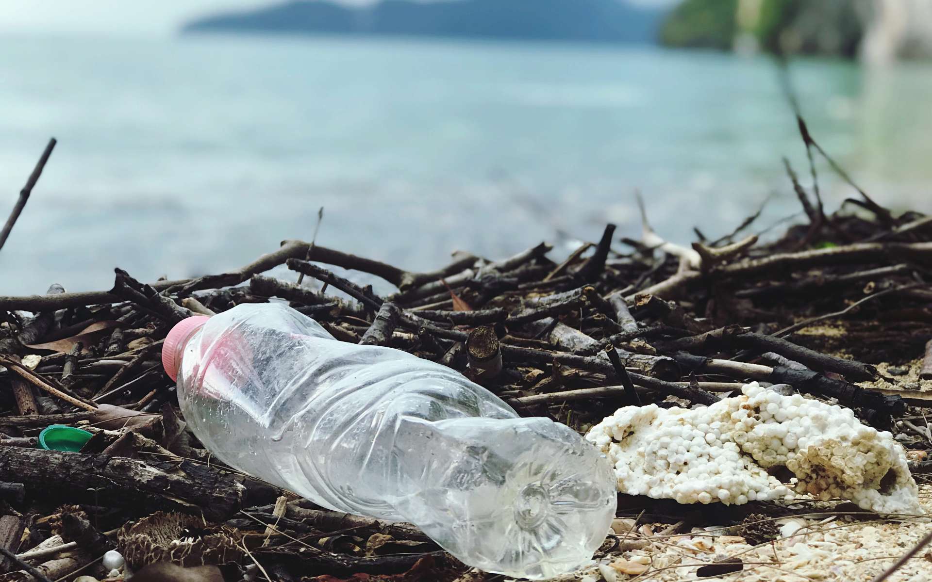 Close Up Photo Of Plastic Bottle 2409022